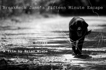 Breakneck Jane's Fifteen Minute Escape Poster