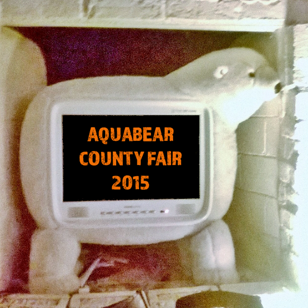 Visual Review of Aquabear County Fair 2015